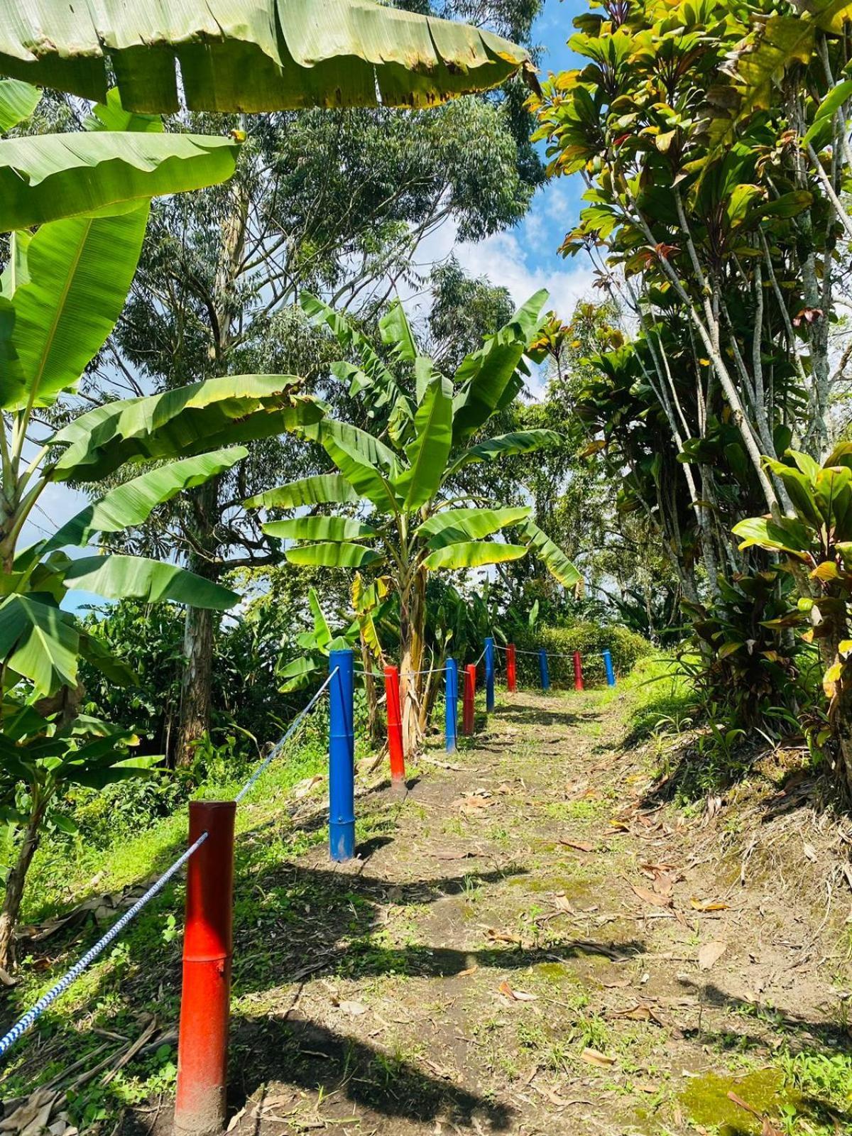 Finca Hotel el Edén del Quindío Calarcá Exterior foto